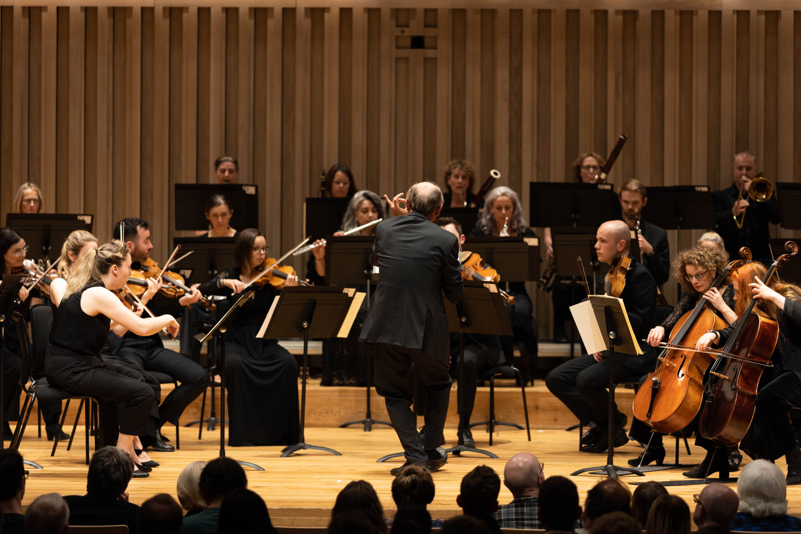 Robin Rata Sheffield International Concert Season - Manchester Camerata