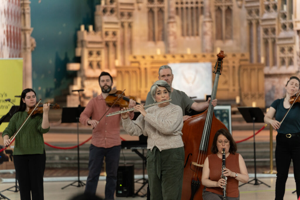 Manchester Camerata at Turner Sims