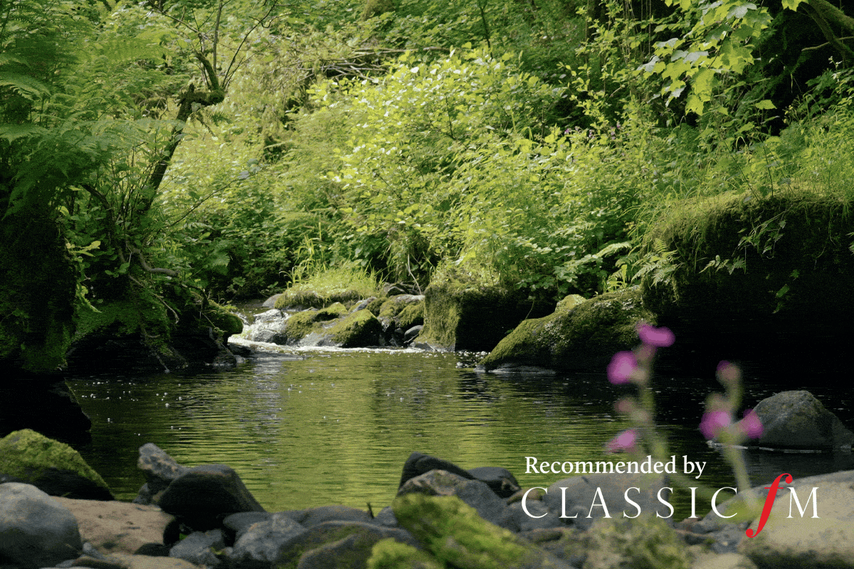 The Lark Ascending &amp; The Sounds of Nature with Gábor Takács-Nagy &amp; Caroline Pether