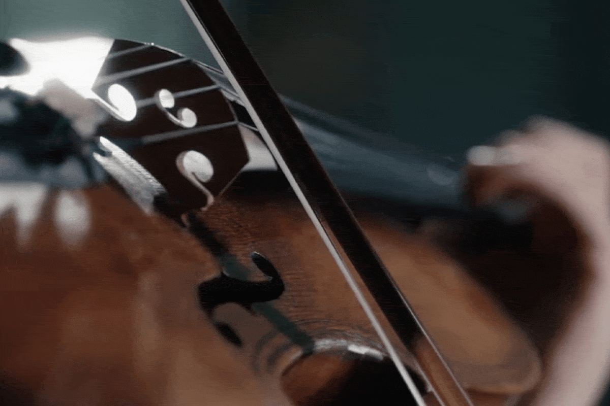 Timothy Ridout with Manchester Camerata